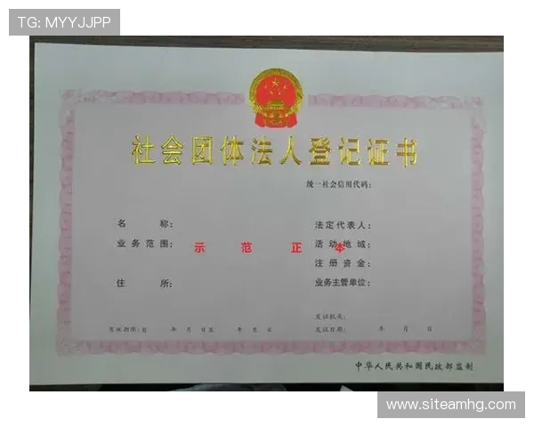 新手注册皇冠账号的详细指南，确保顺利完成账号申请