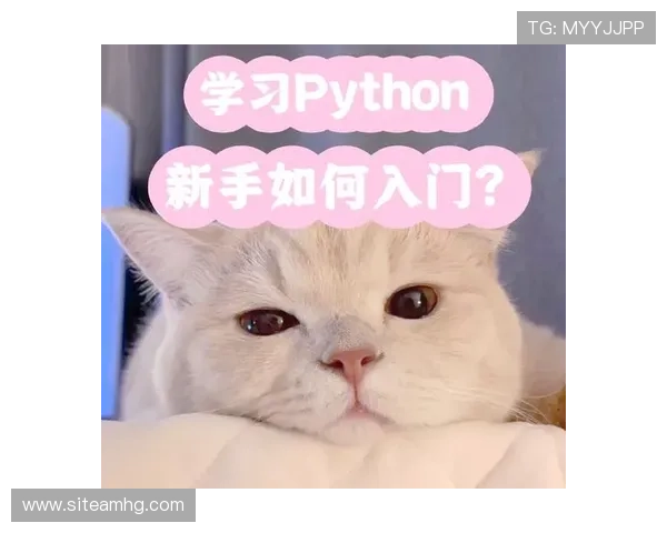 新2备用网提供详细的使用指南帮助新手用户轻松上手