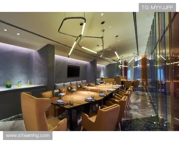 分析美高梅中國控股有限公司在中国市场的竞争优势与差异化策略